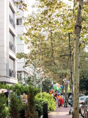 風船～～.。o○