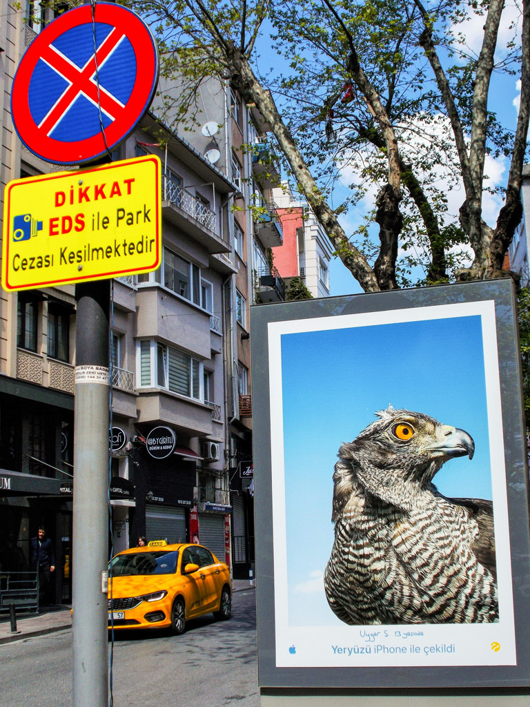 停車も駐車もさせニャイ！