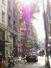 爆弾じゃなくて　優しさだよ…降って来たのは…