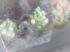 心のかさぶた・・・