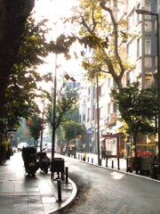 秋の早朝～～⁂