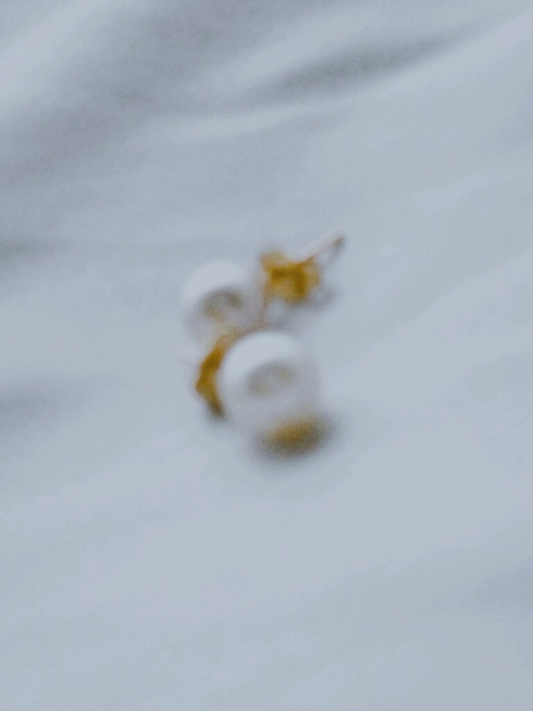ワニの涙。。。