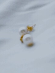 ワニの涙。。。