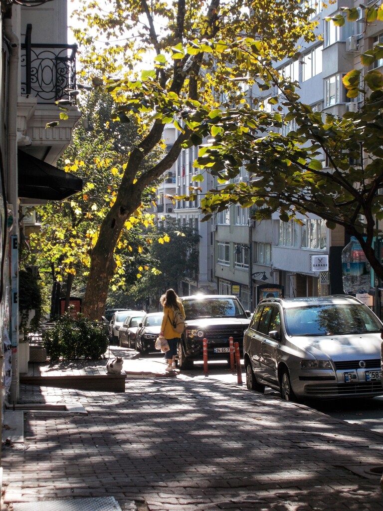 秋の陽の中で～✨～