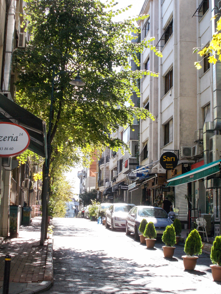 夏の名残陽　✨