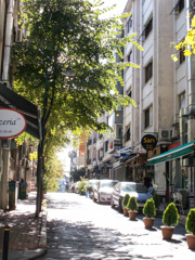 夏の名残陽　✨