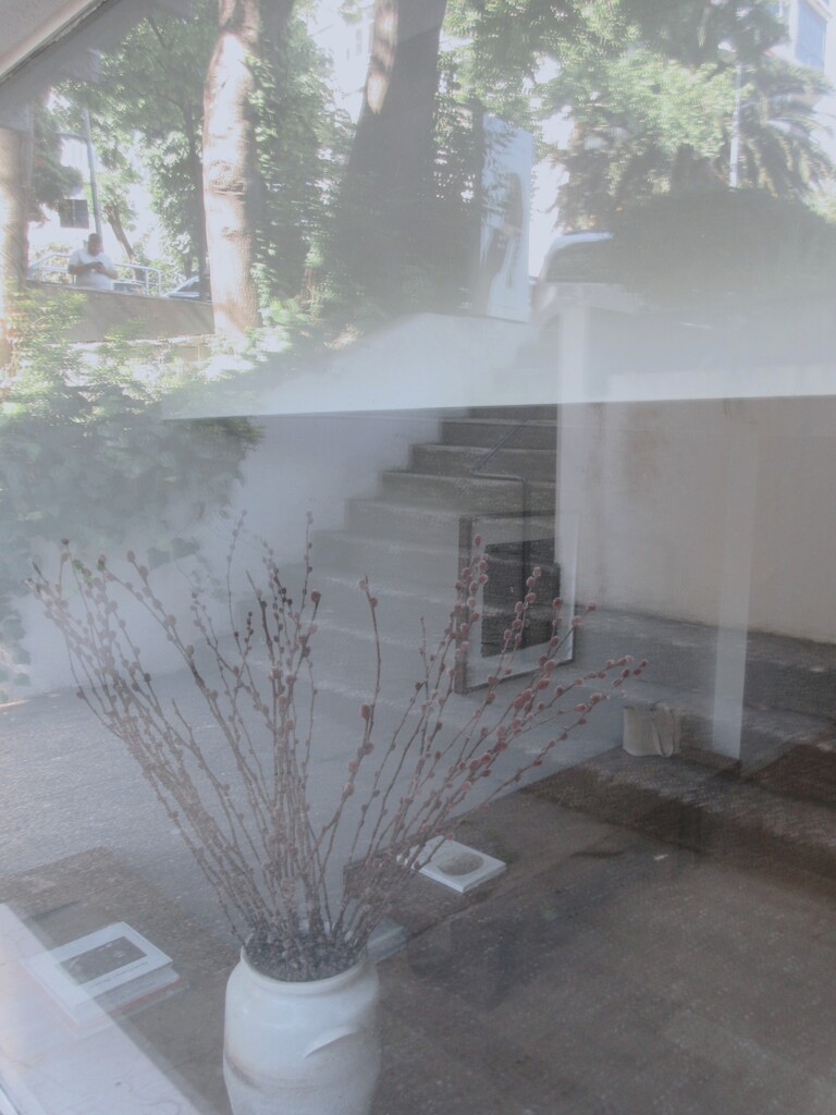 時々…必死に隠れ場所を探す…