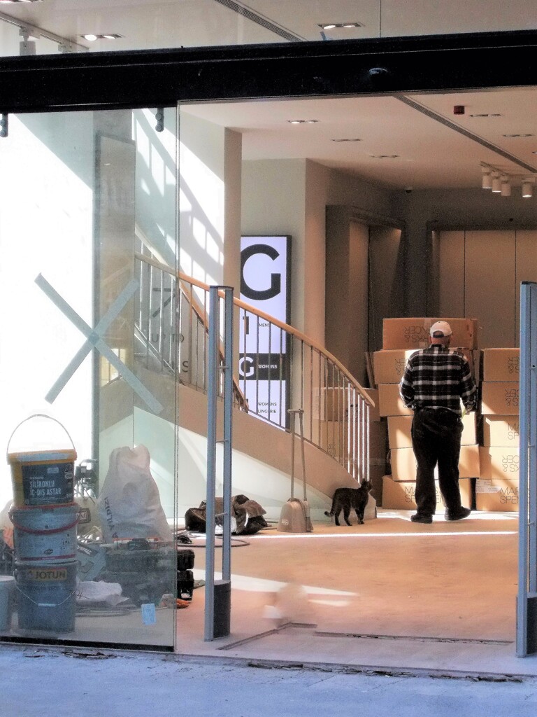 猫とおじちゃん…②