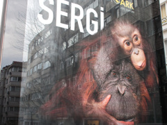 絶滅危惧種　写真展のポスター