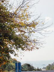 イスタンブールの街…樹々の.ビルの合間からボスポラス海峡が～♪