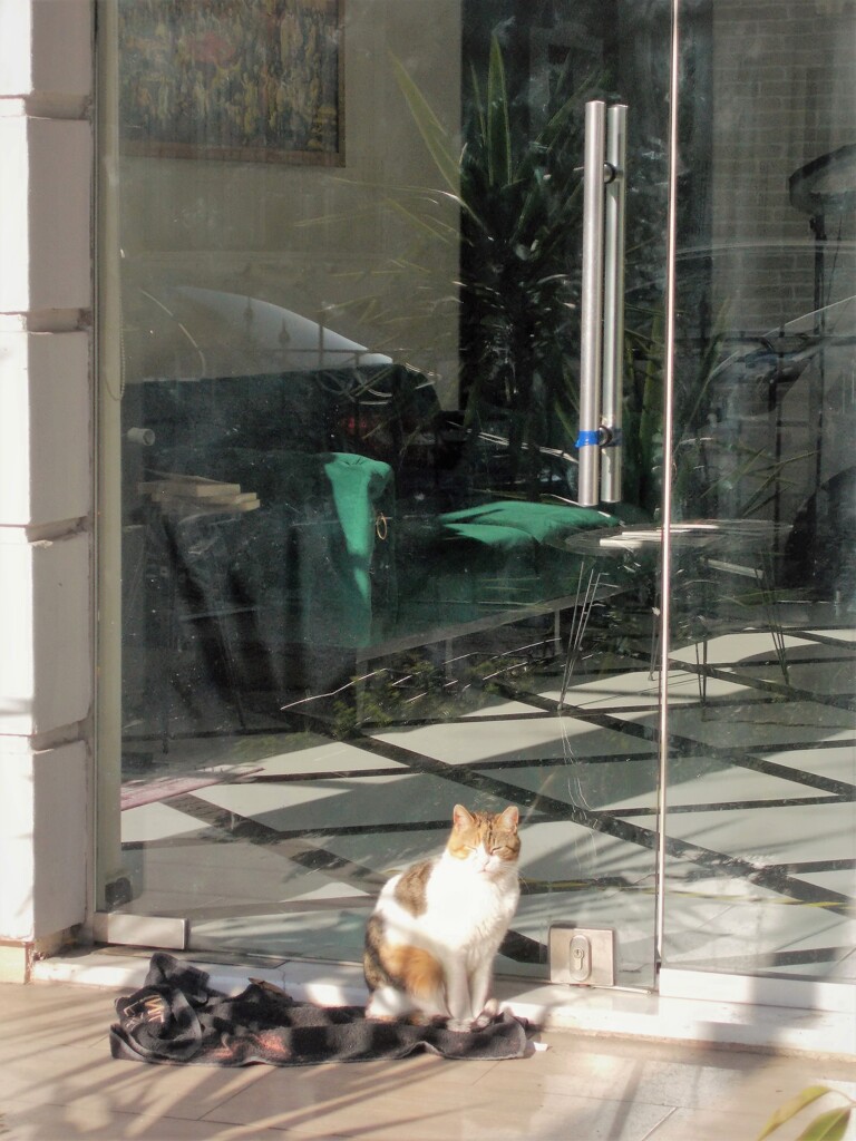 朝陽の中で～キラキラ日向ぼっこ～～♪