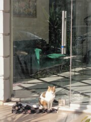 朝陽の中で～キラキラ日向ぼっこ～～♪