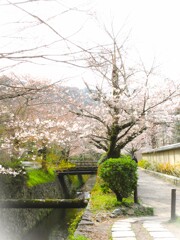 この春の１日を…