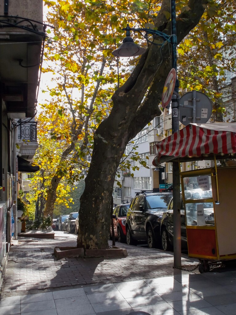 初冬の朝陽～✨