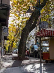 初冬の朝陽～✨