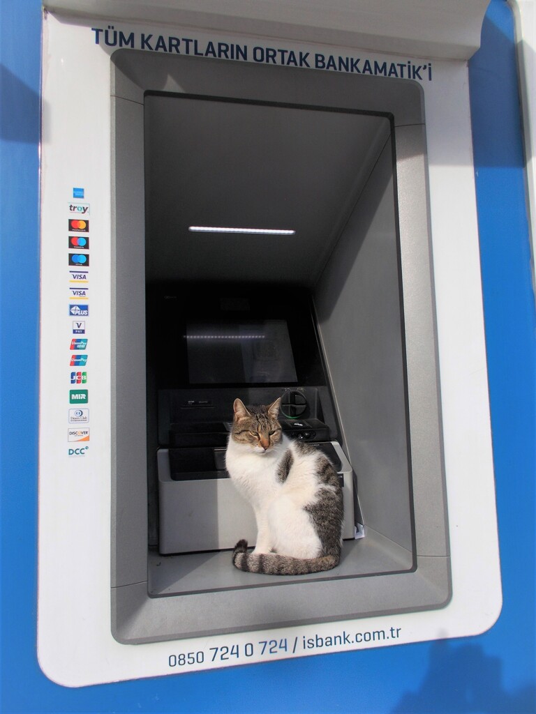お天気のいい朝のATM～♪