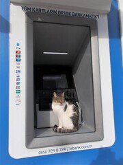 お天気のいい朝のATM～♪