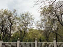 ず～～と向こうに～～