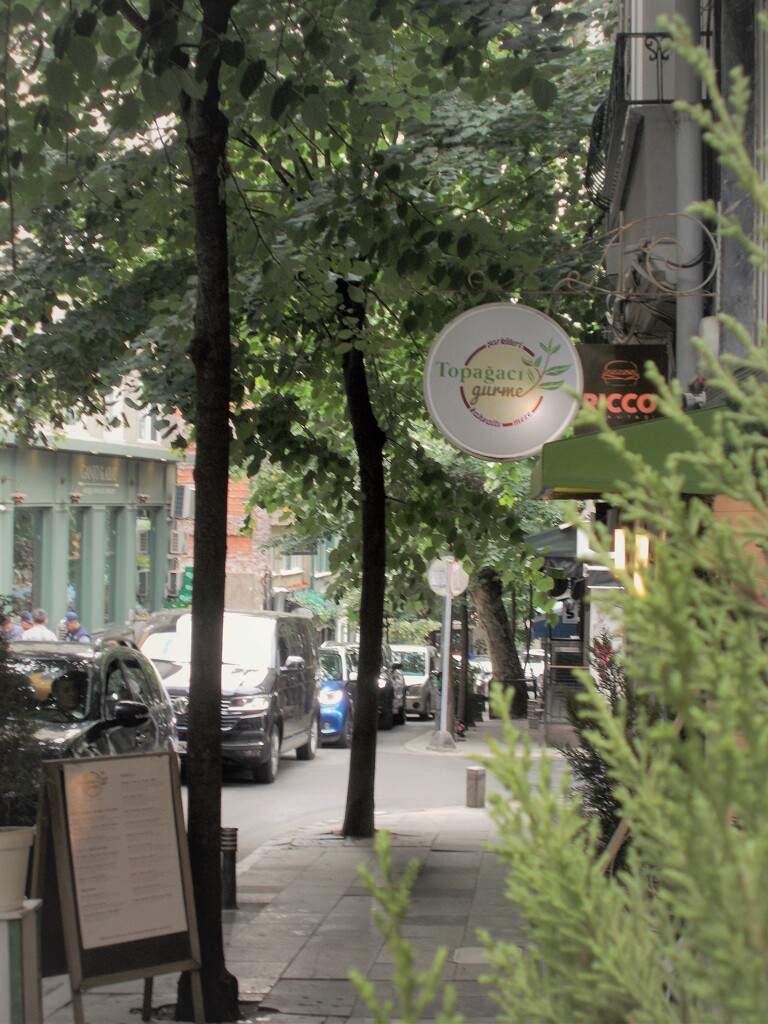 レタスグリーン～～☆