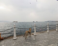 何を見つめているの？　存在する重荷・・・