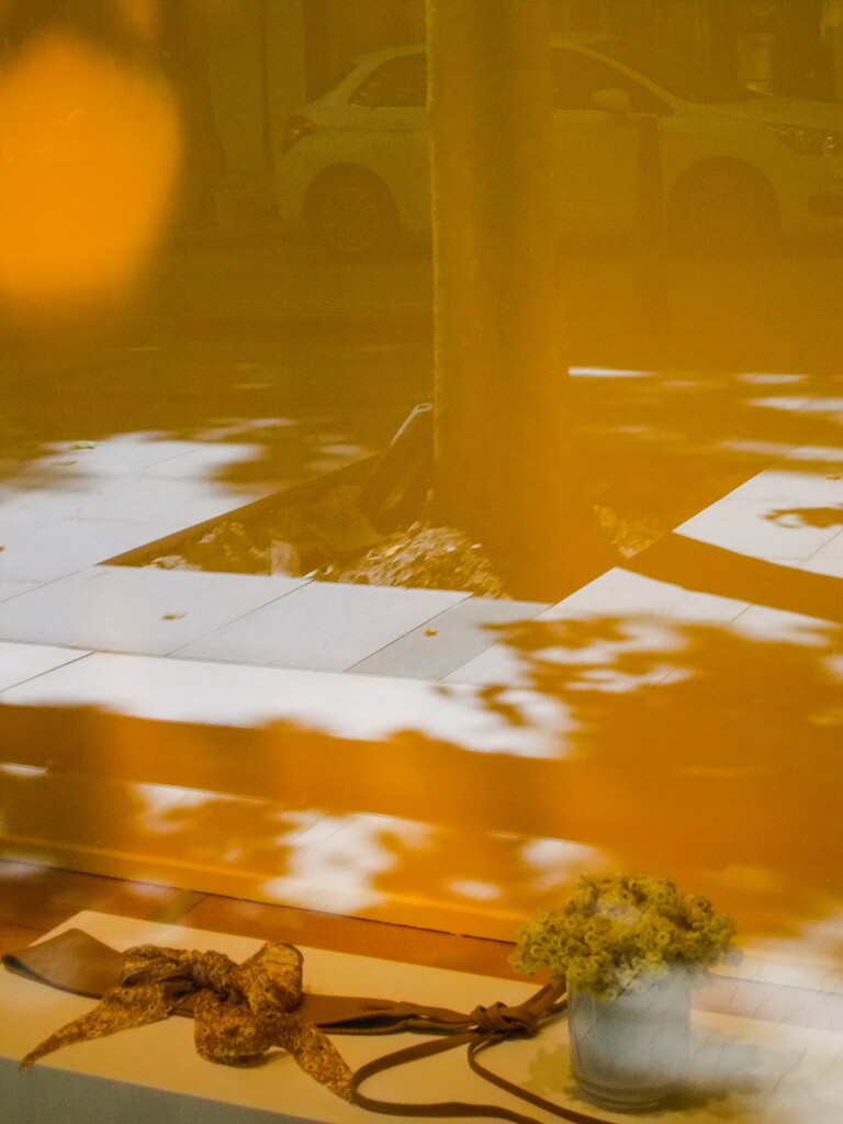 夏の夕　通り…（コロナ自粛を機に改造中）