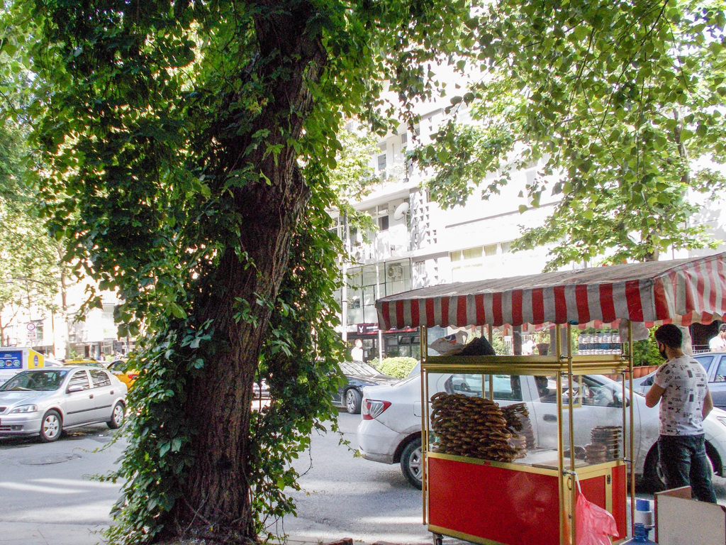 朝　ゴマ付きベーグル売り～