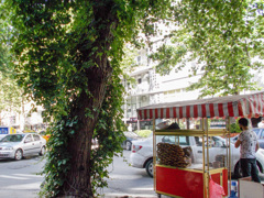 朝　ゴマ付きベーグル売り～