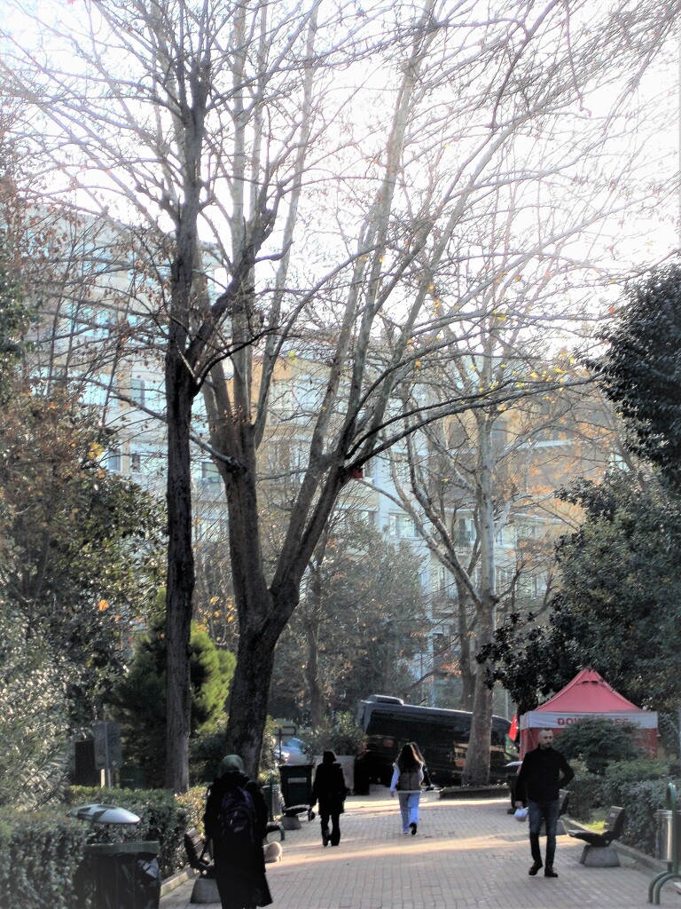 早道の公園を横切って～～♪