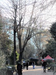 早道の公園を横切って～～♪