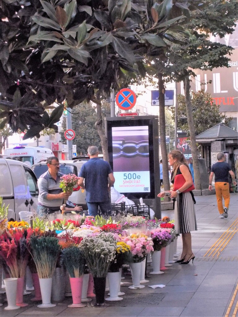今日の花選び～～♪
