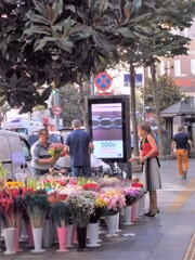 今日の花選び～～♪