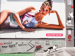 水着なんて　いらニャイな・・・