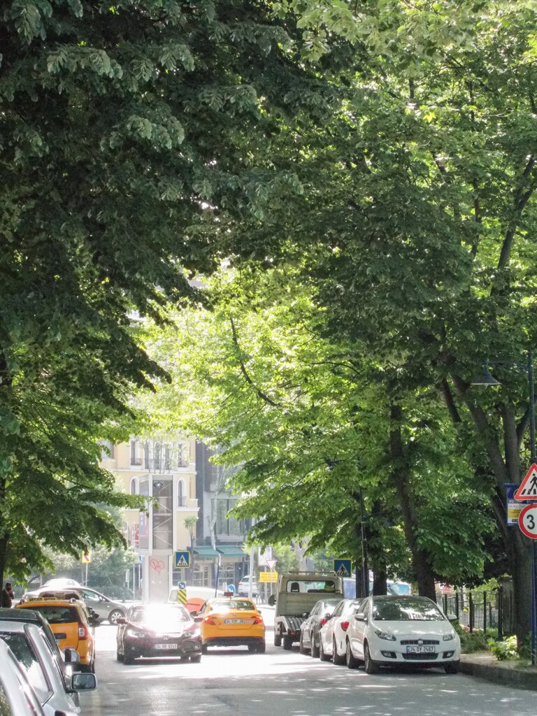 出口　それとも　入口？