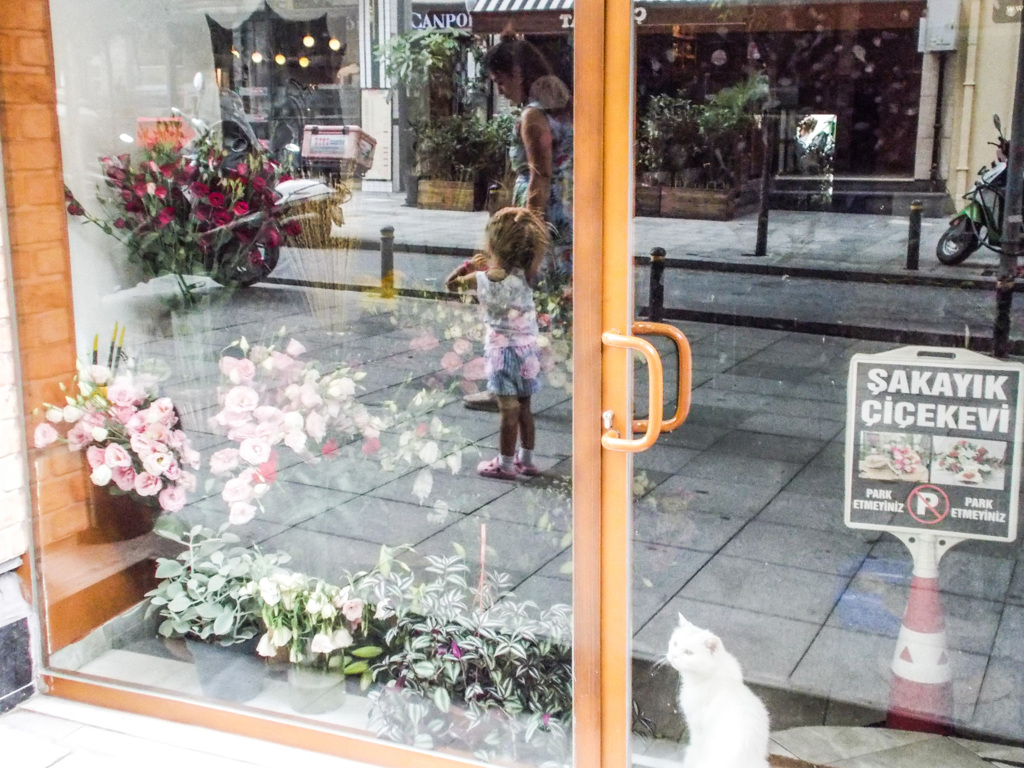 花屋のお留守番ニャン