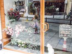 花屋のお留守番ニャン