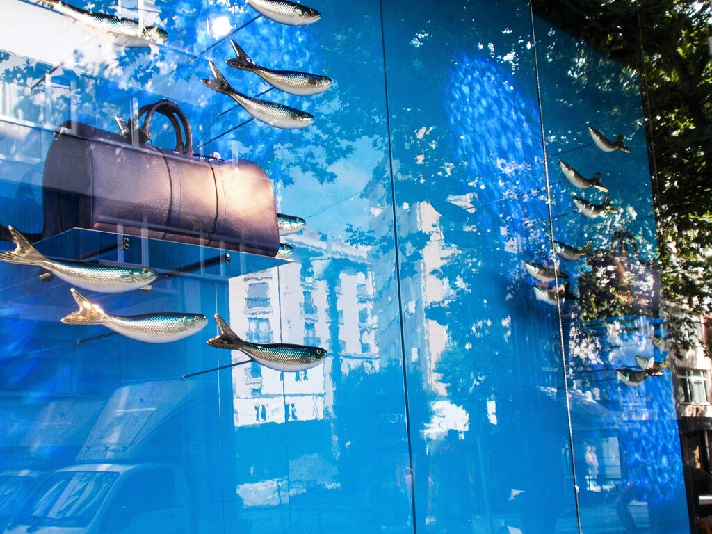 水陸両用～.。o○～