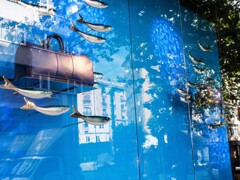 水陸両用～.。o○～