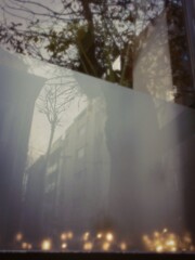 嫉妬…　通り抜ける小さなほむら～～