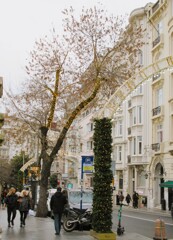 白い街並み　キラキラ～　心新たに～☆