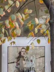 木枯らし１号～～