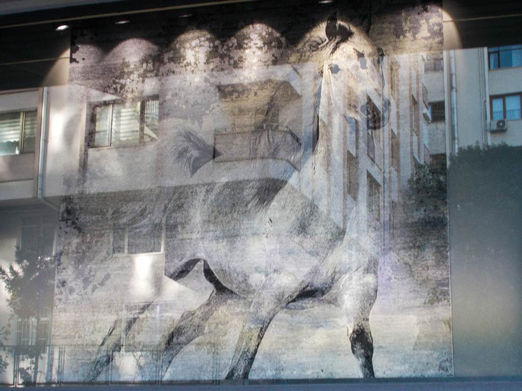 カーペット屋さんのショーウィンドー☆～