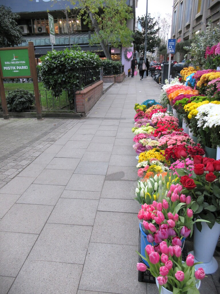 花屋さんにチュウリップが～～♪