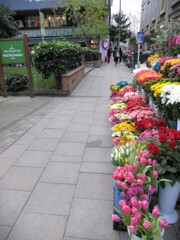 花屋さんにチュウリップが～～♪