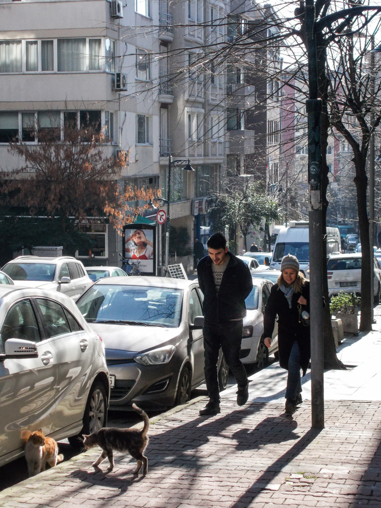 僕んちにチュールあるんだ　来ニャイ　♡？