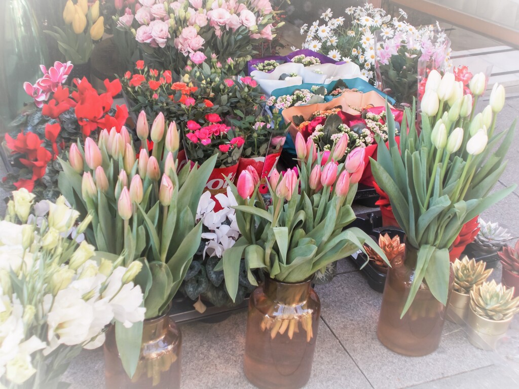 １っ１っ春が香り始める…