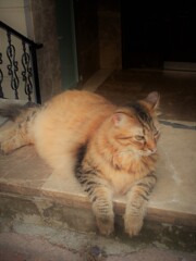 母になる風格～♡