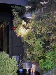 スポットライトみたいな朝陽～✨