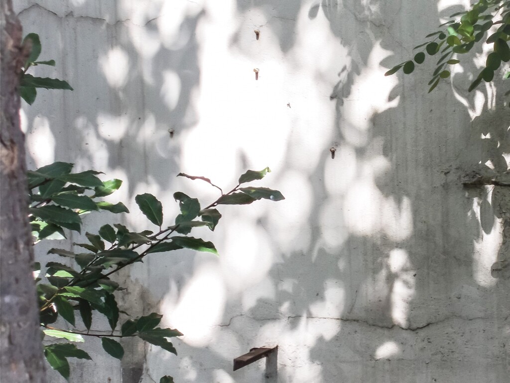 うつりゆく～～