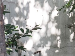 うつりゆく～～