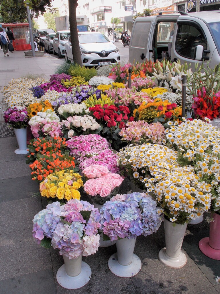 なな色…紫陽花…